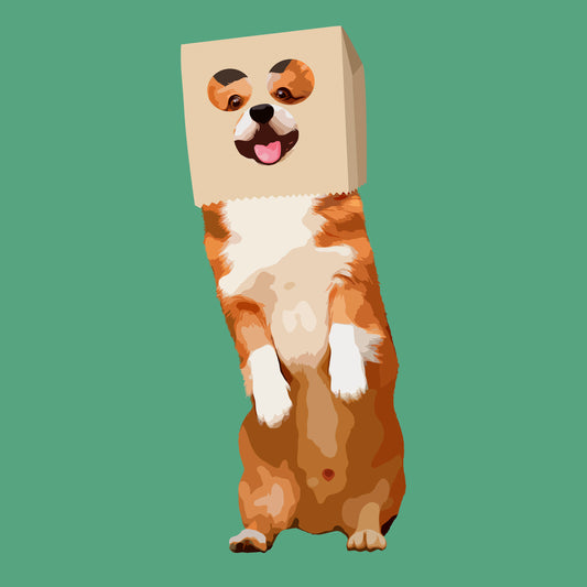 Masked Mischief – Quirky Corgi Wall Art